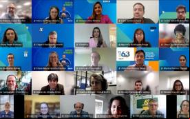 Imagem do print da tela de computador da reunião online