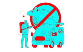 Imagem de um homem capturando um rato