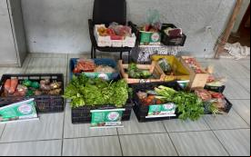 Cestas de alimentos frescos para doação